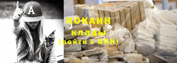 трава Белокуриха