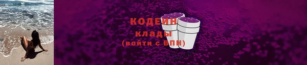 трава Белокуриха