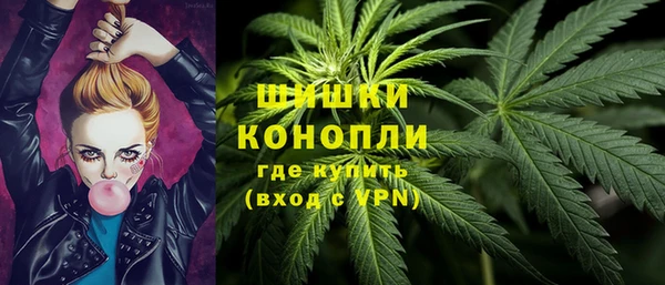 трава Белокуриха