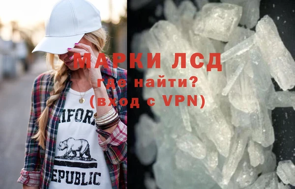 трава Белокуриха