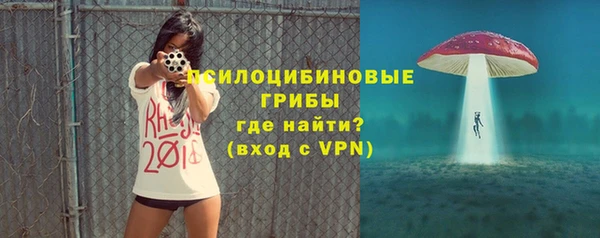 трава Белокуриха